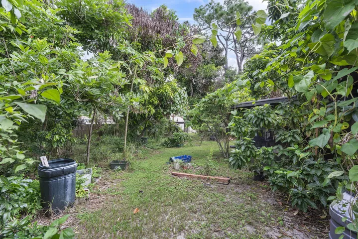 36-web-or-mls-DSC07911
