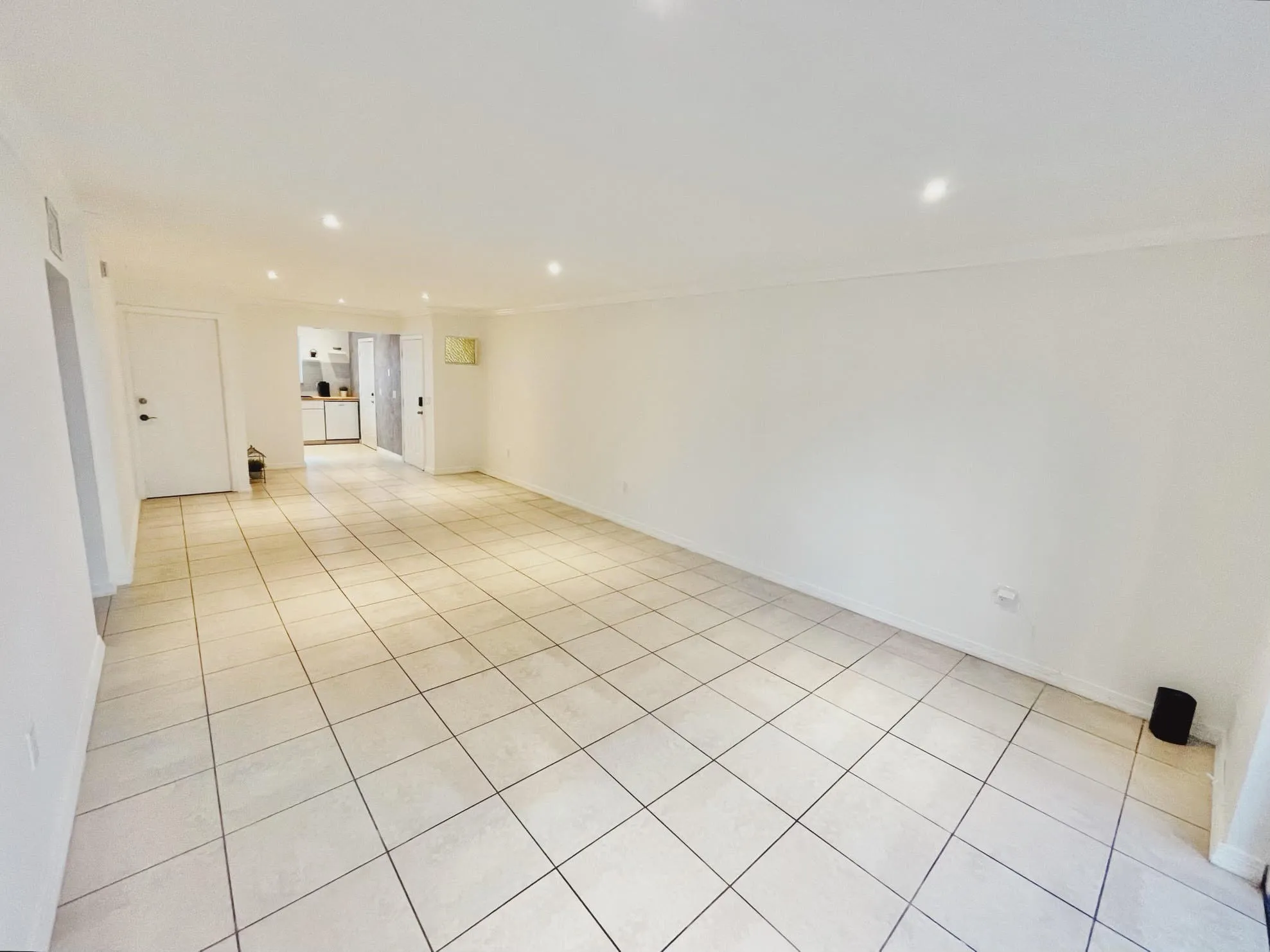 Living + Dining Rm