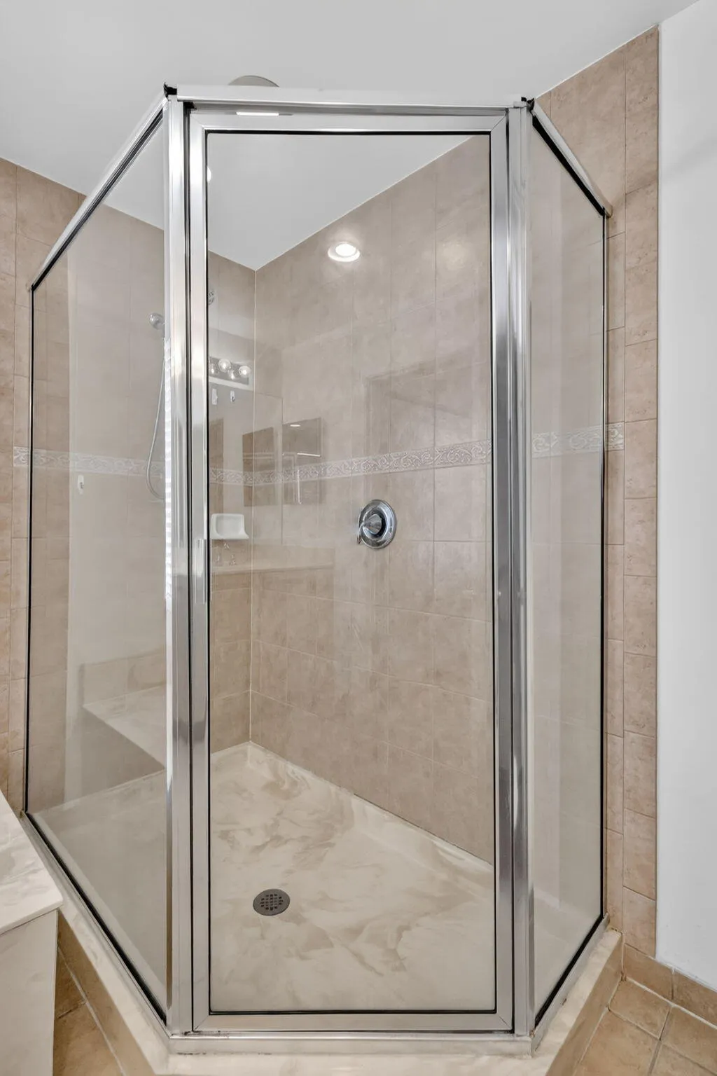 Primary Bathroom Shower