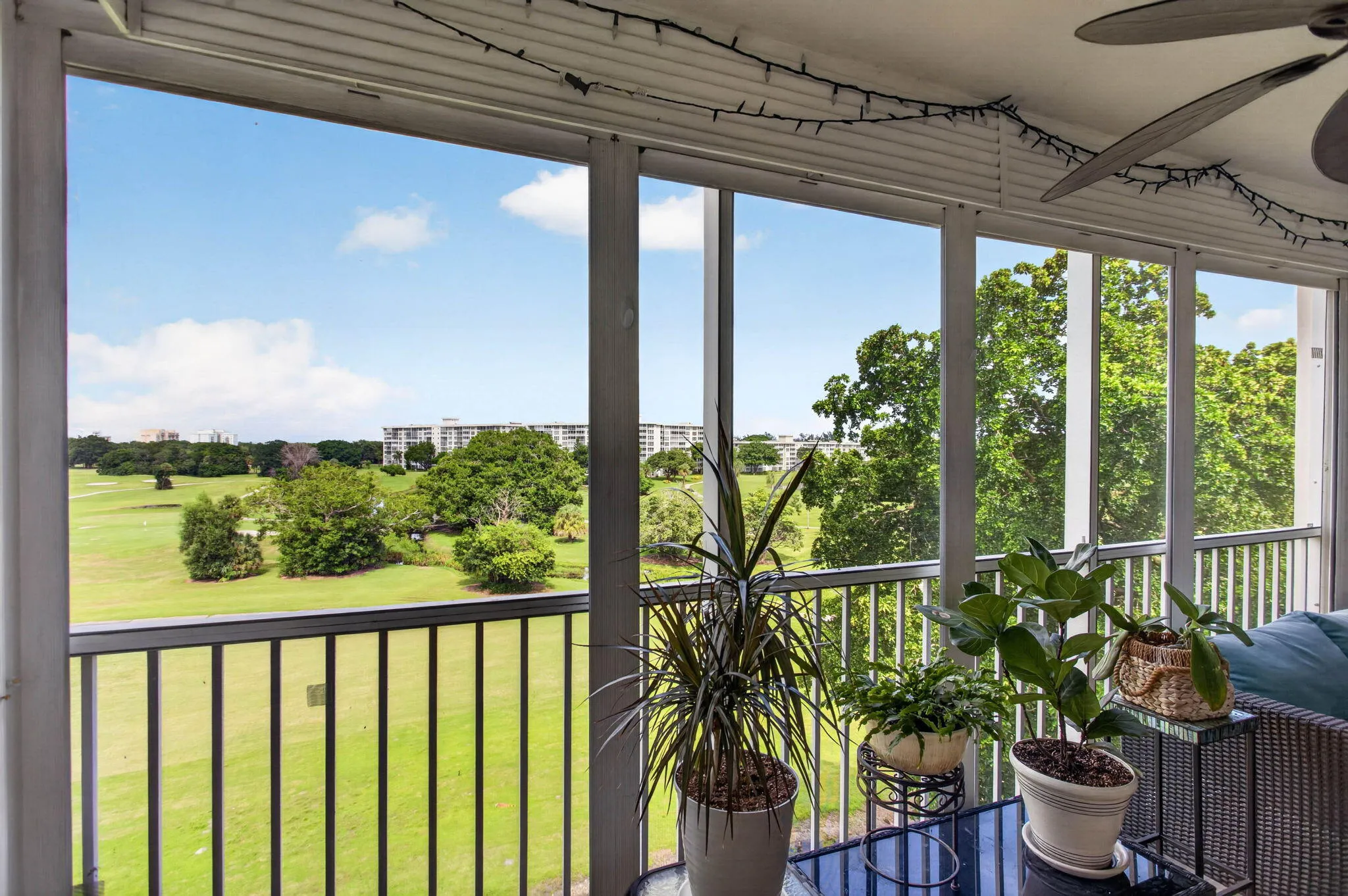 22-web-or-mls-2901-22
