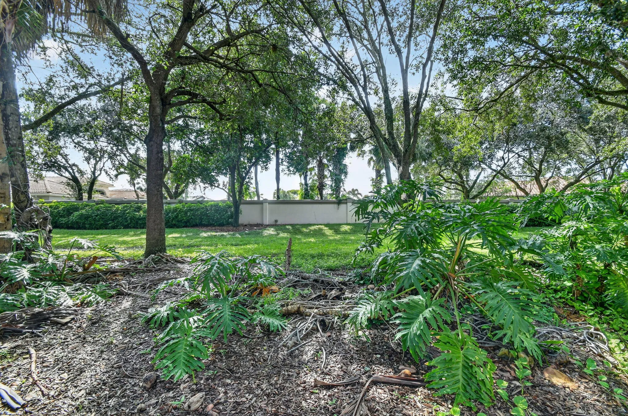 71-web-or-mls-DSC_2541