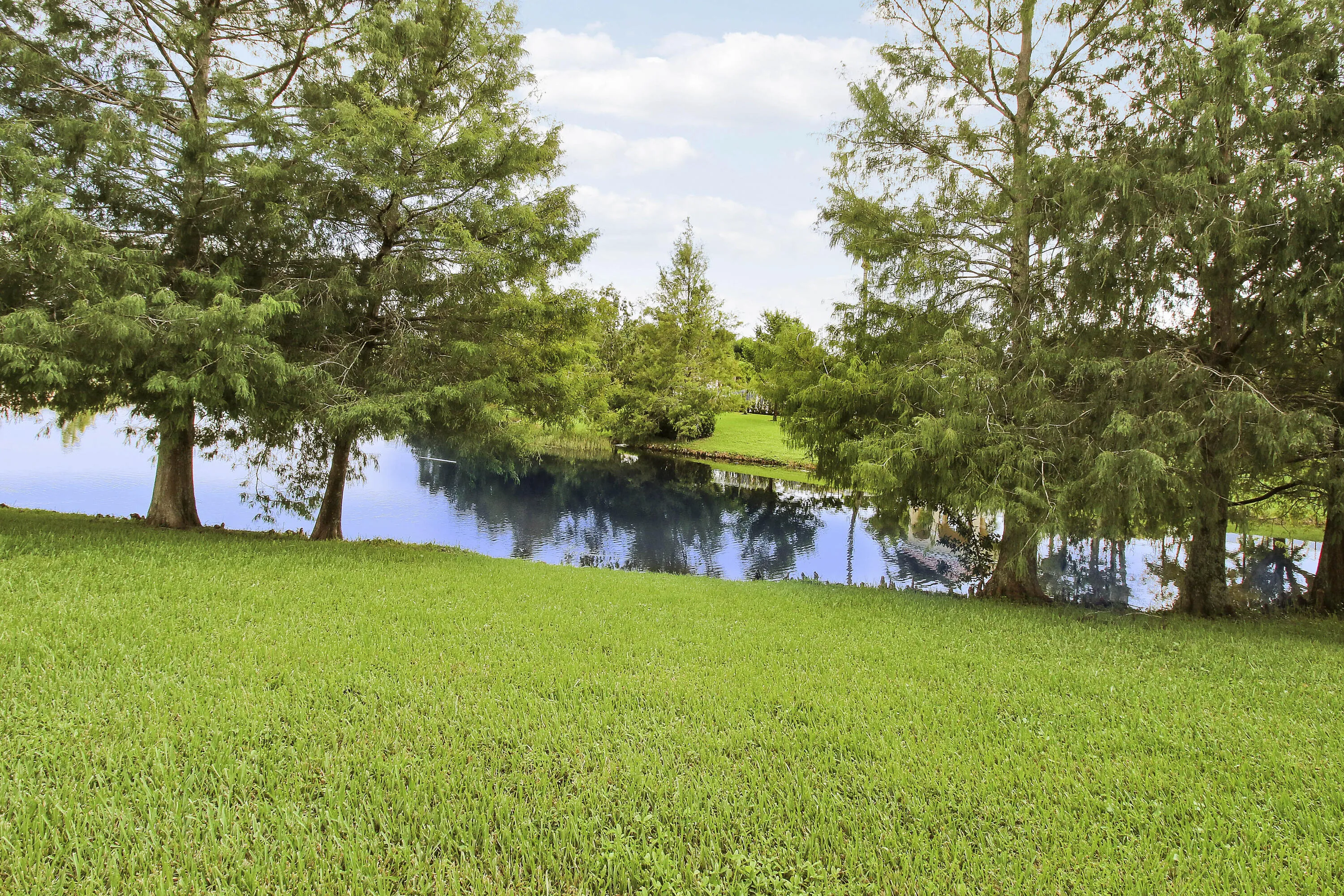 View of Lake