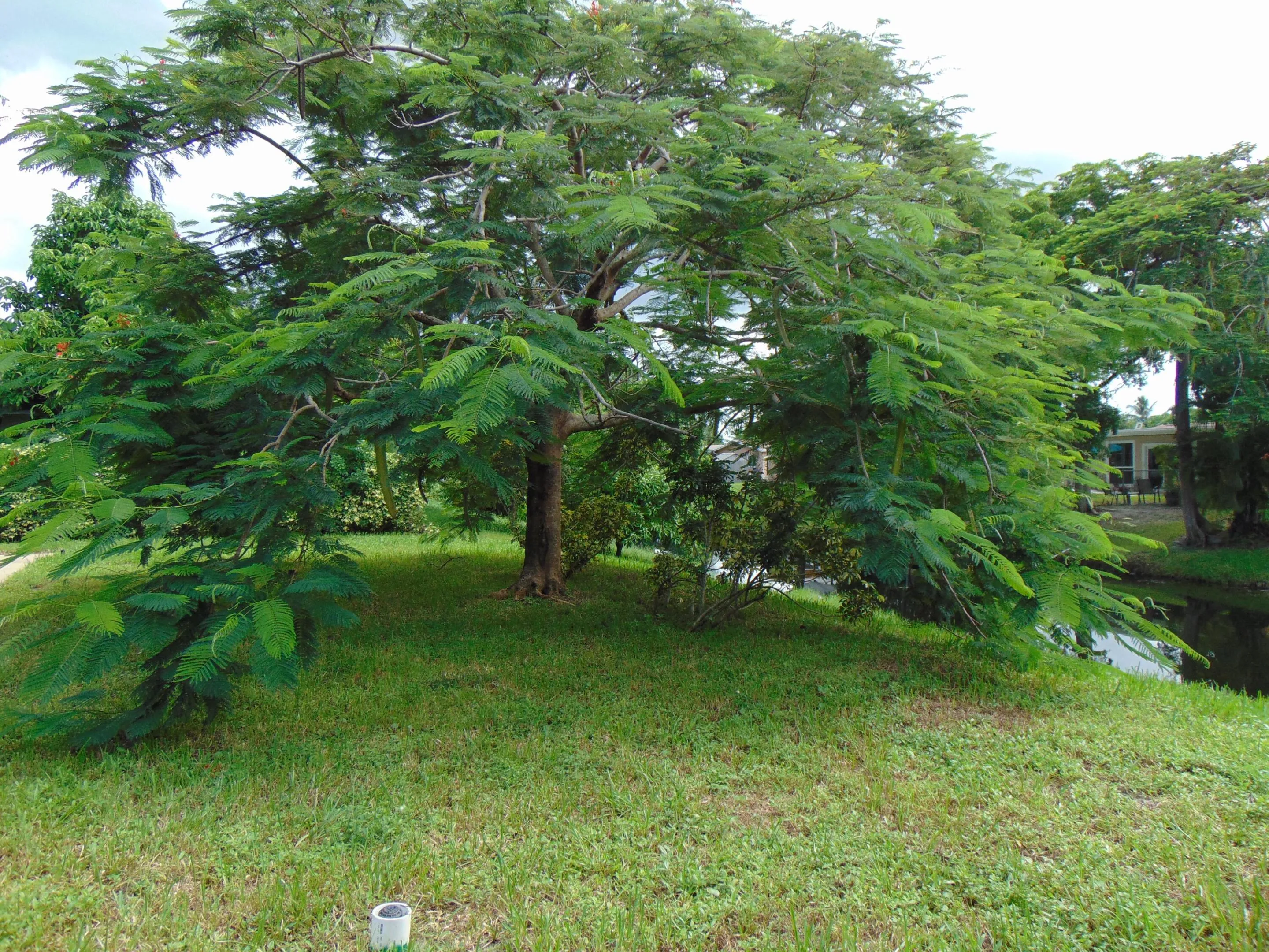 DSC02235