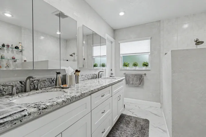 Primary bathroom with step in shower