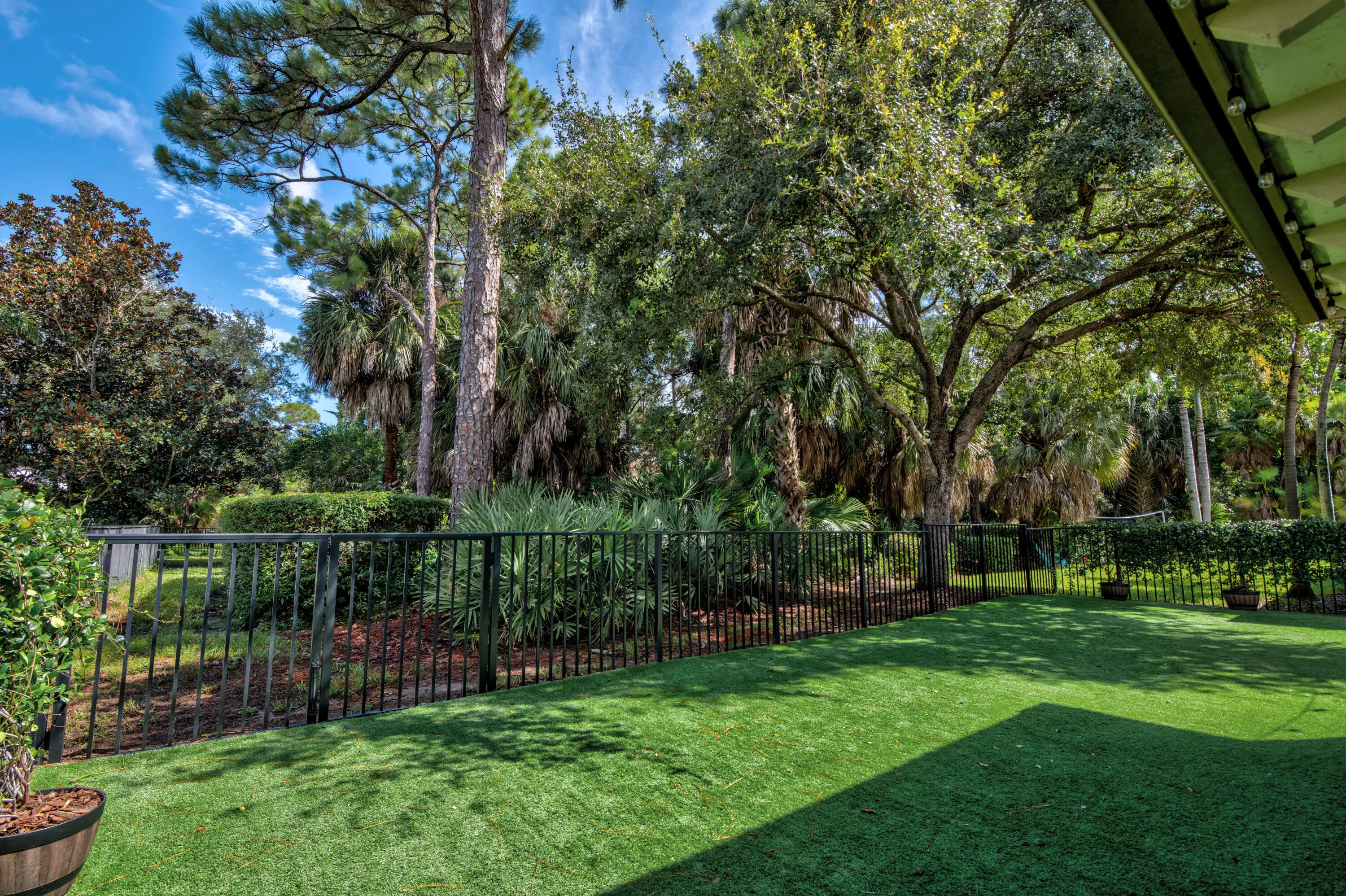 07 Backyard