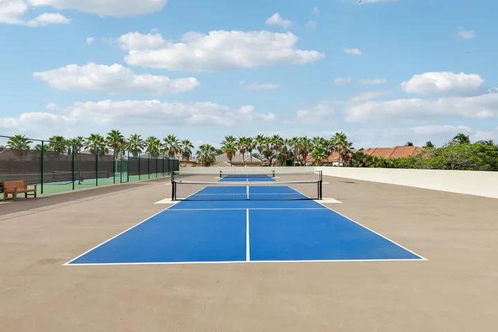 Tennis and Pickleball Areas