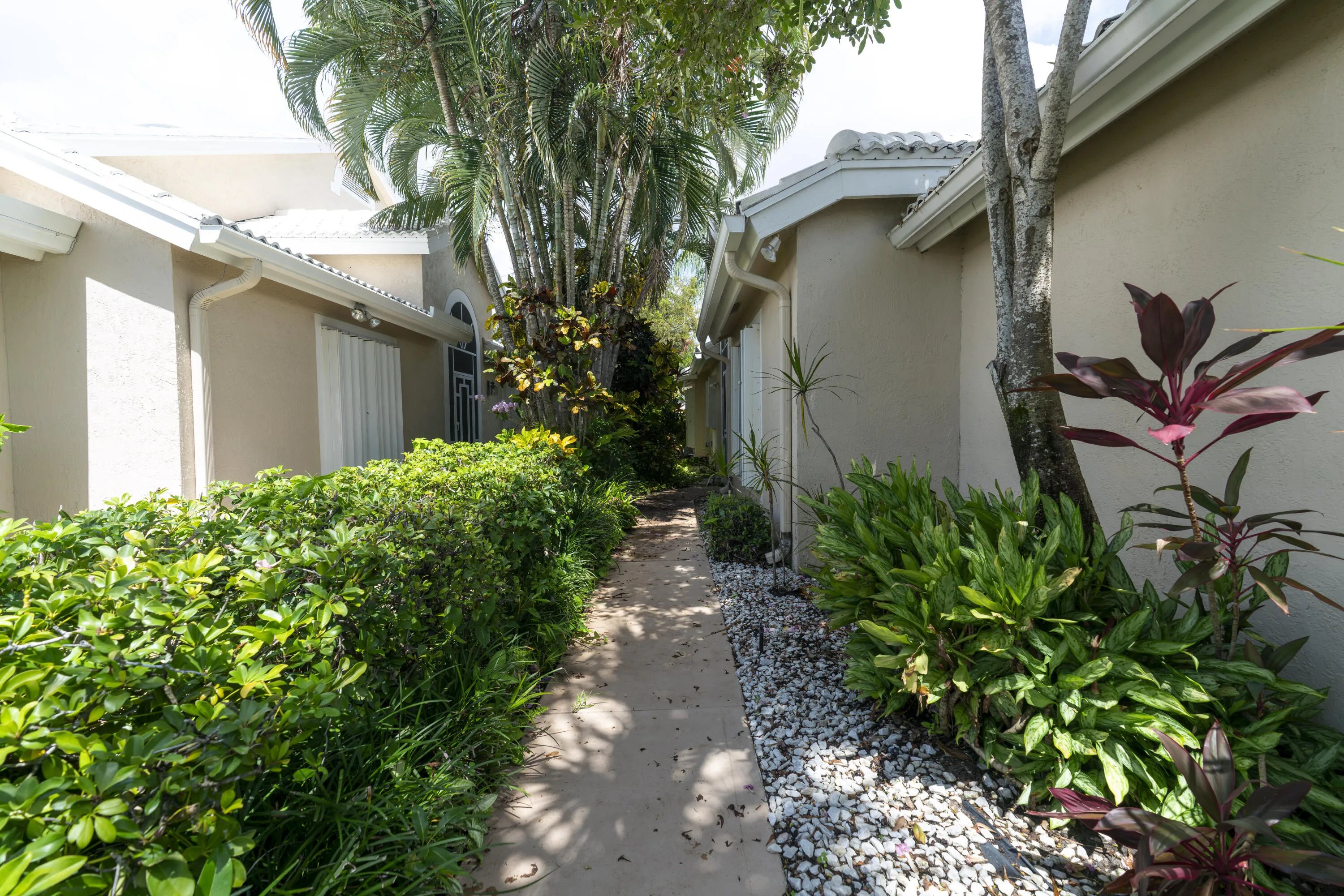 Side walkway featuring lush landscaping, stucco exterior, white rain gutters, and a tile roof