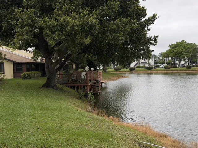 Wood deck overlooking a body of water, featuring a large mature tree and manicured lawn