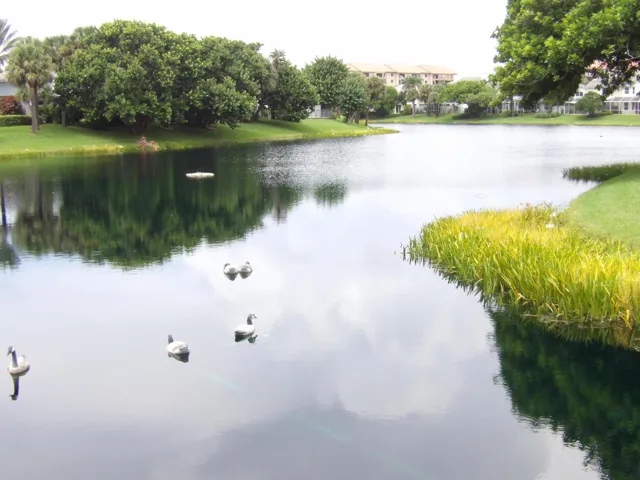 100_0914
