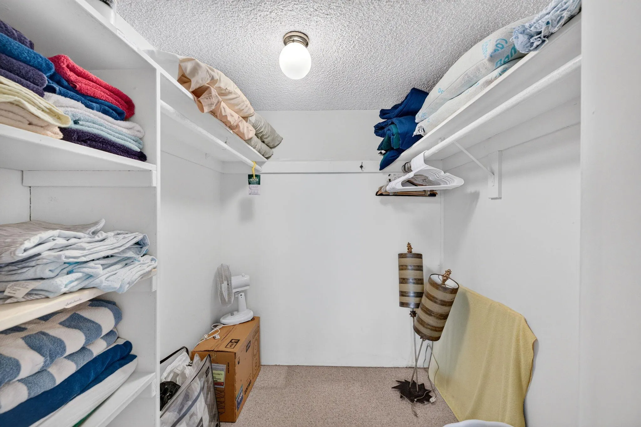 Primary Bedroom Walk-in Closet
