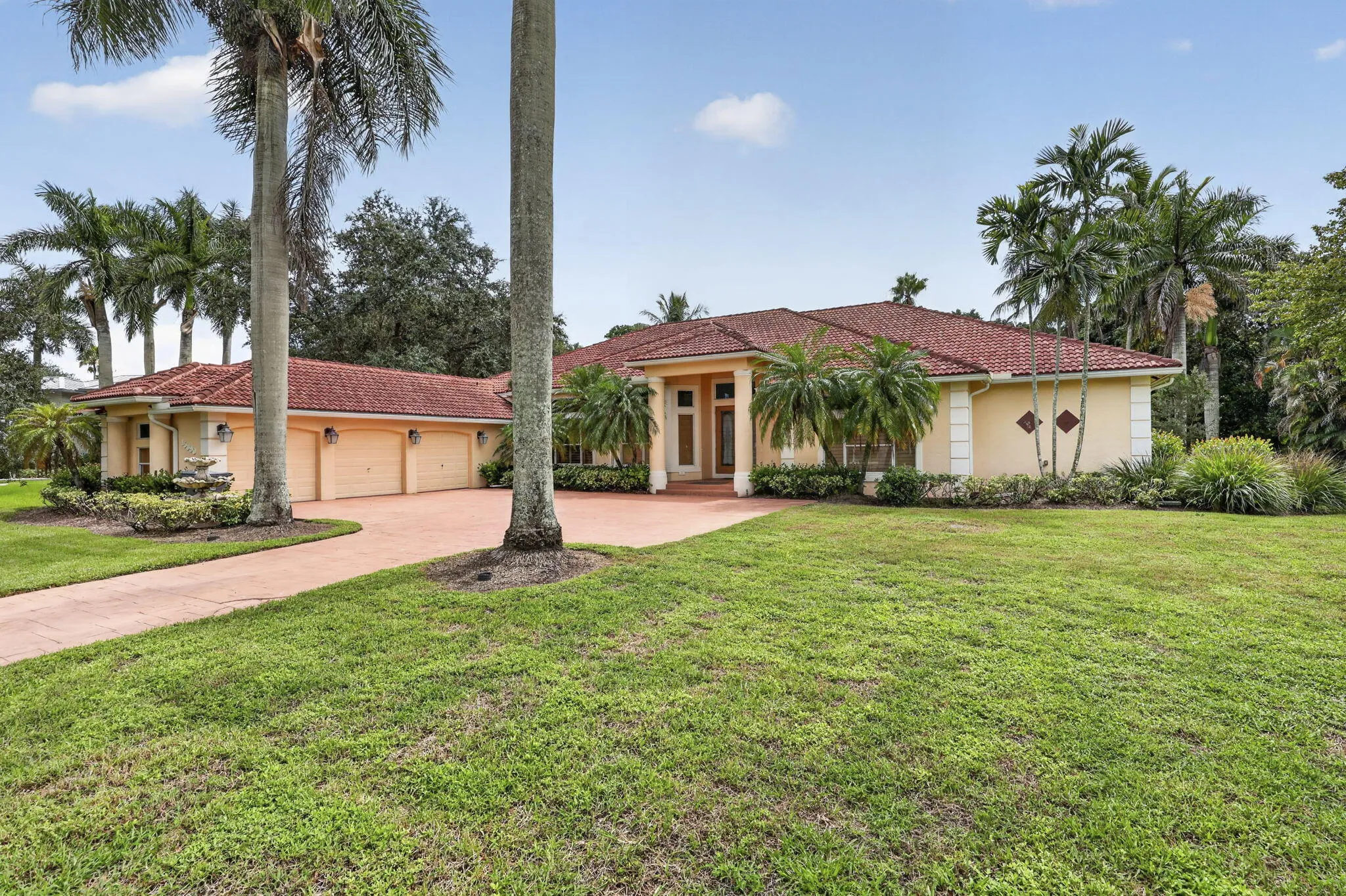 6-web-or-mls-BS1A1826