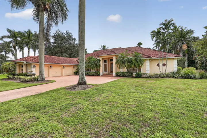 6-web-or-mls-BS1A1826