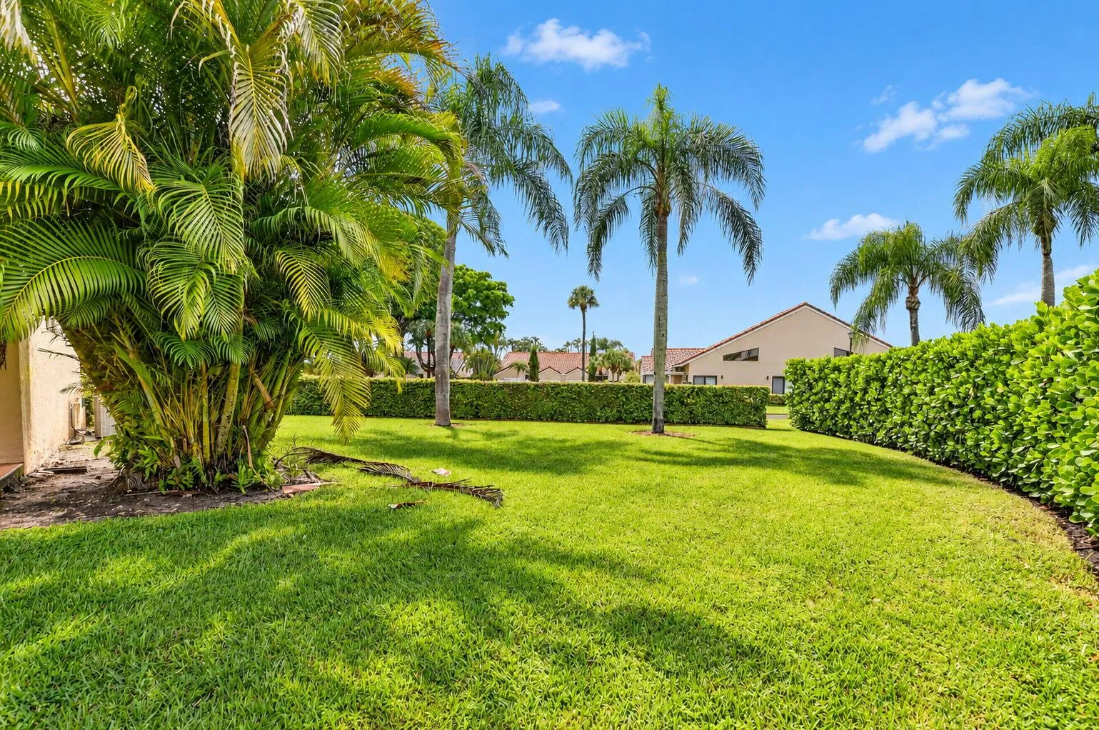 Back yard and side yard