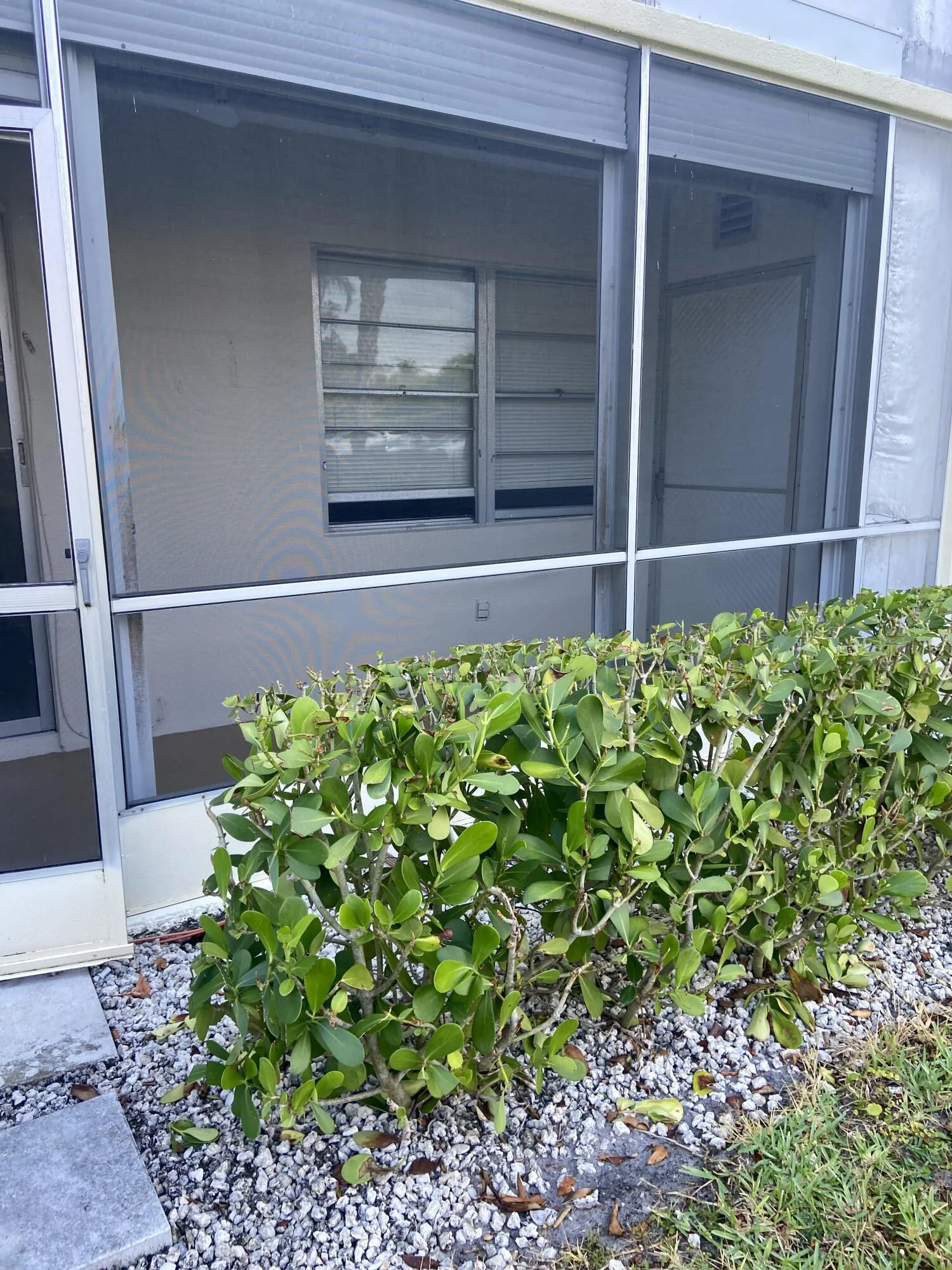 PATIO1