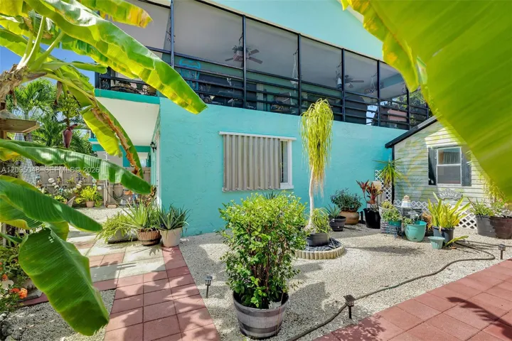Backyard - Lots of garden areas