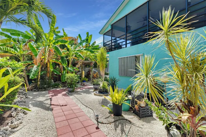 Backyard - Lots of garden areas