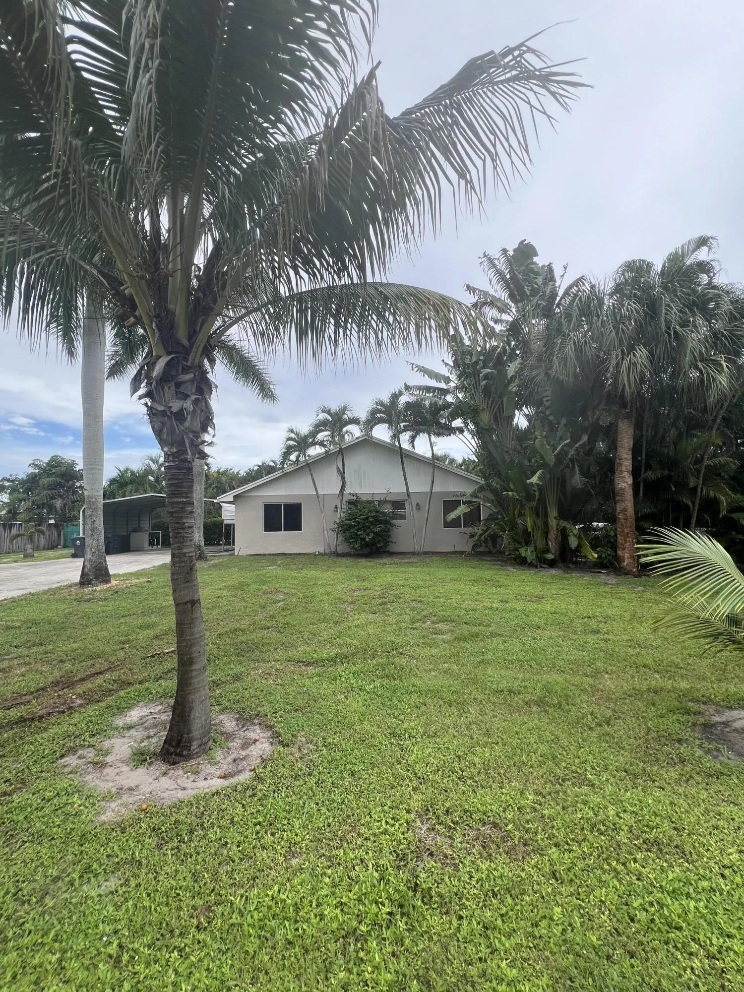Front Yard