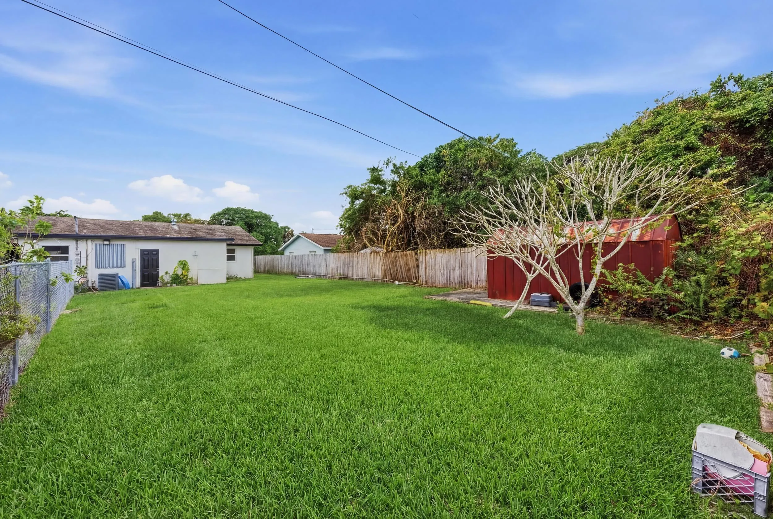 Backyard