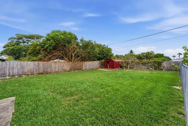 Backyard