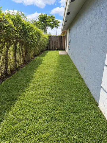 Backyard