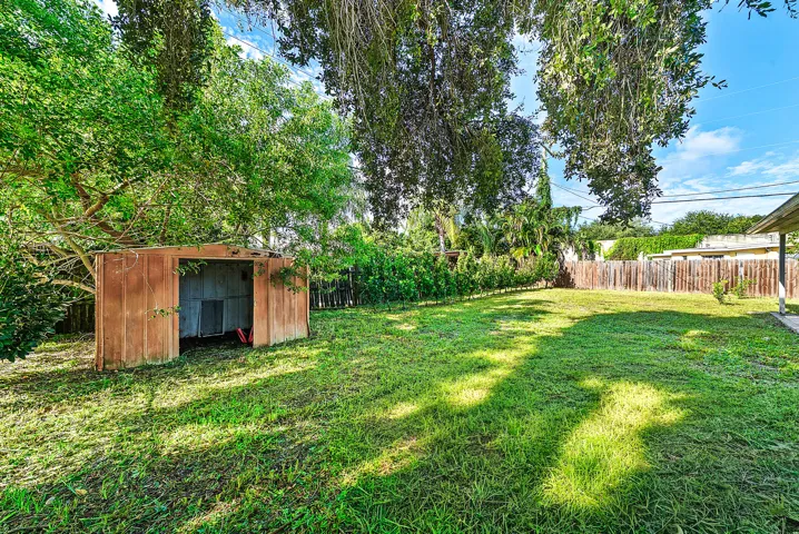 Backyard
