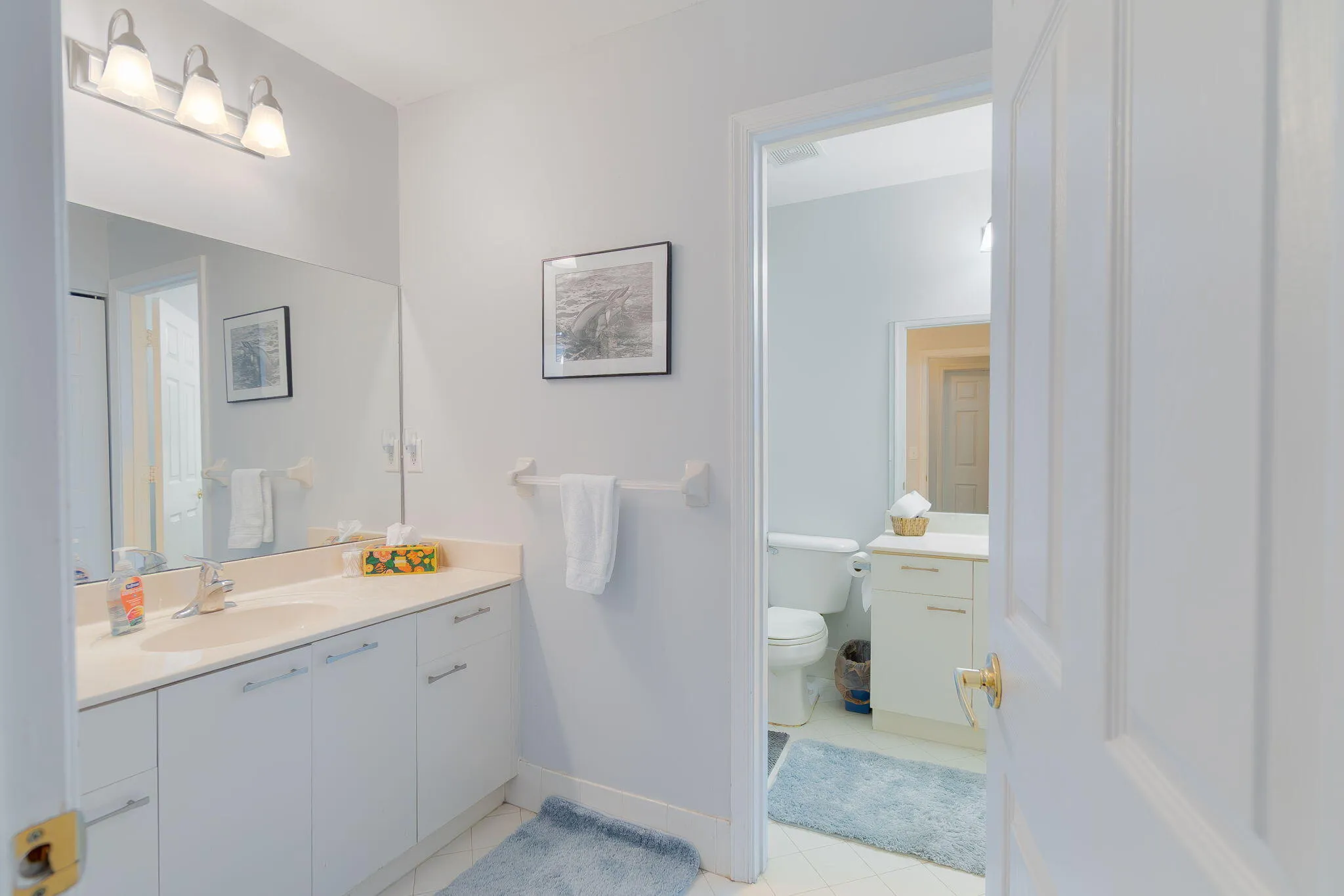 33-web-or-mls-DSC09601