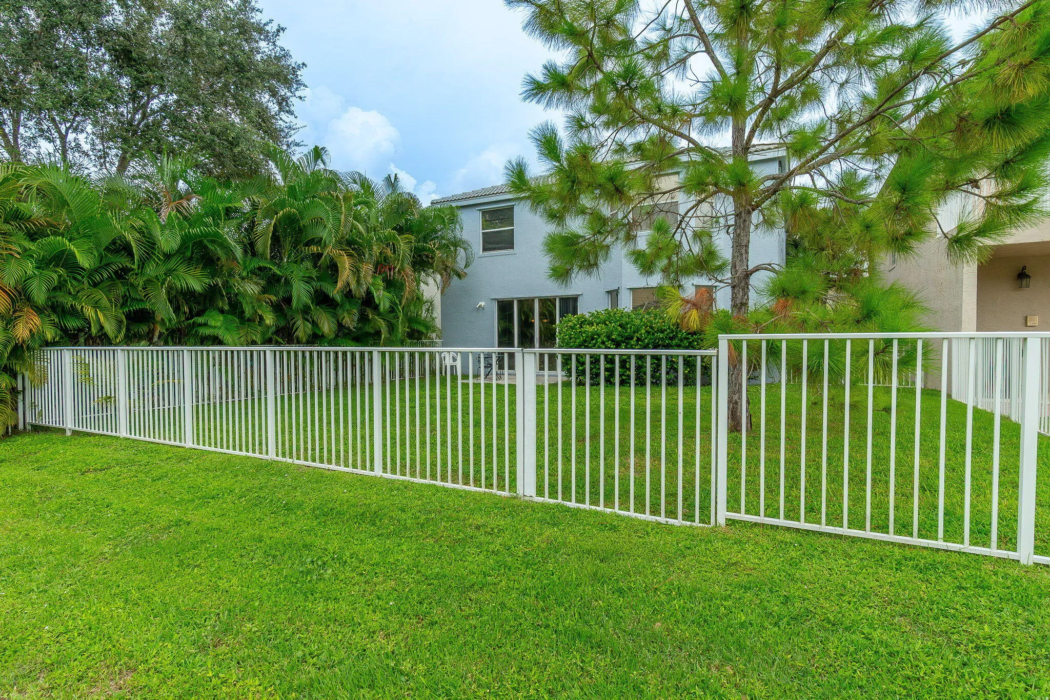 50-web-or-mls-DSC09693