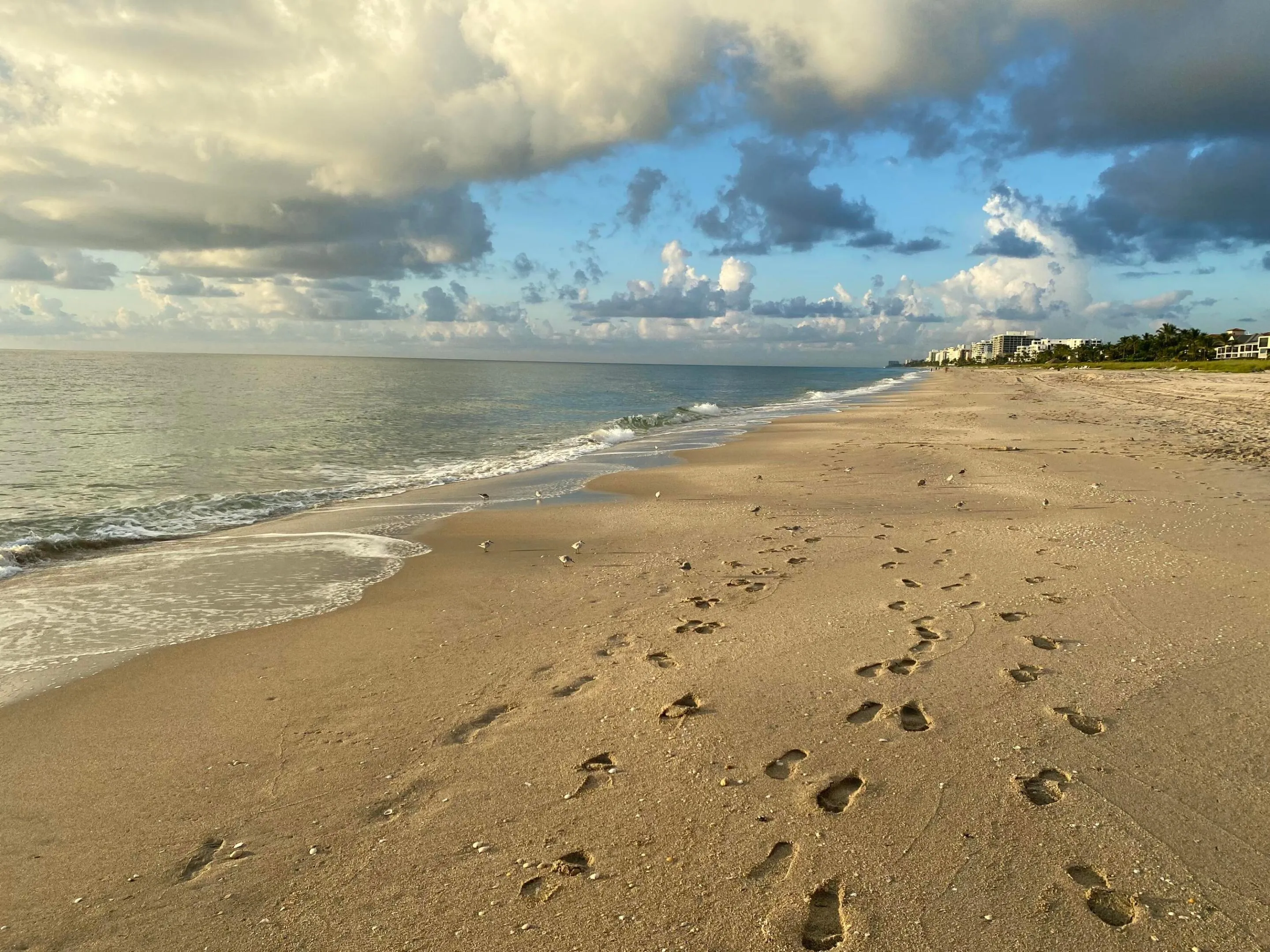 Expansive sandy beach with ocean waters