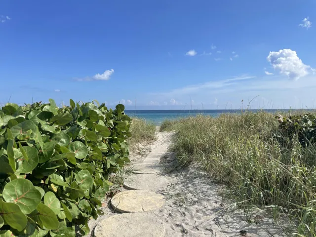 Sand path with stepping stones, bordered by varied foliage and sea grasses, leading towards the ocean