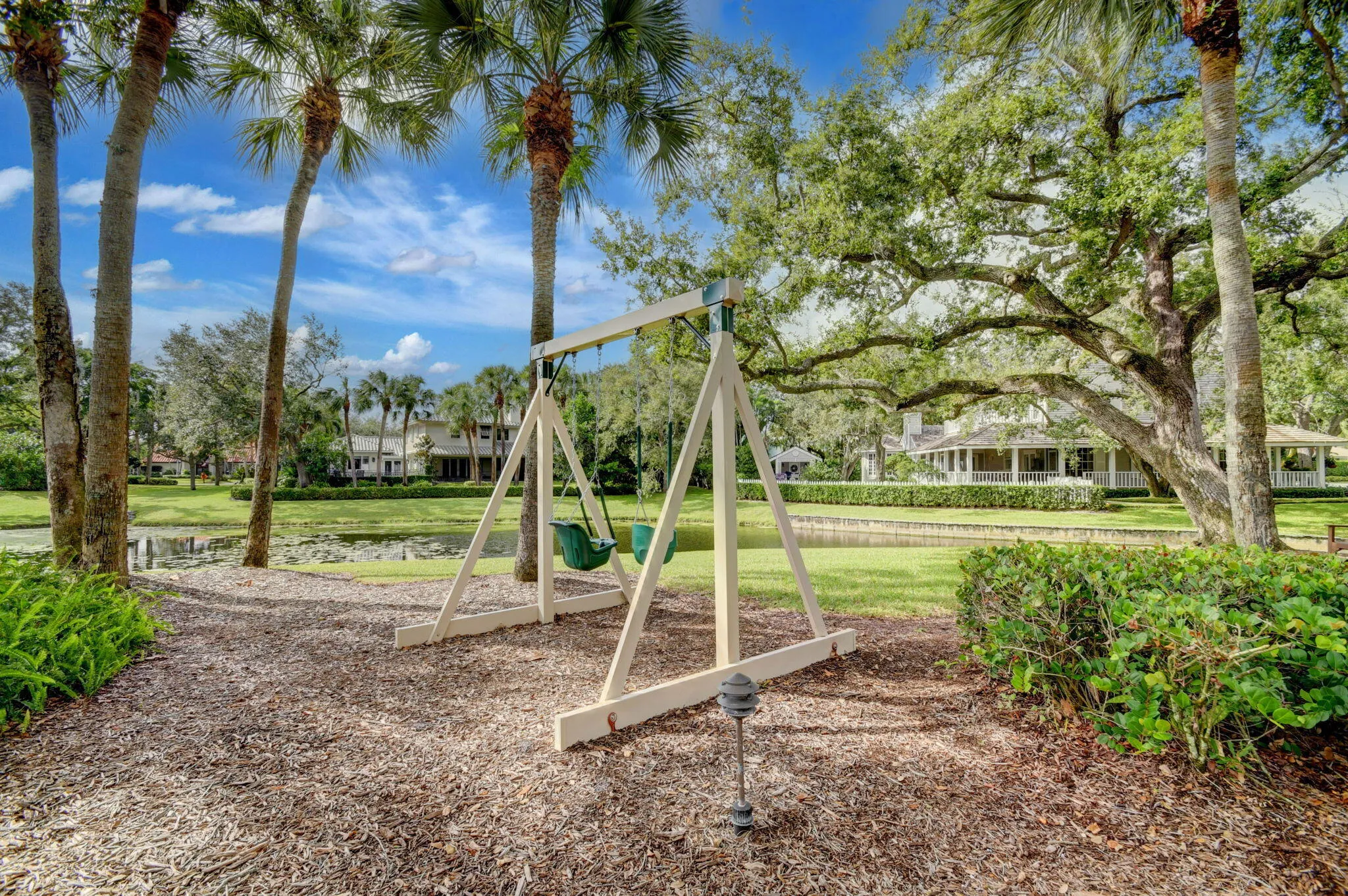 Play in the park