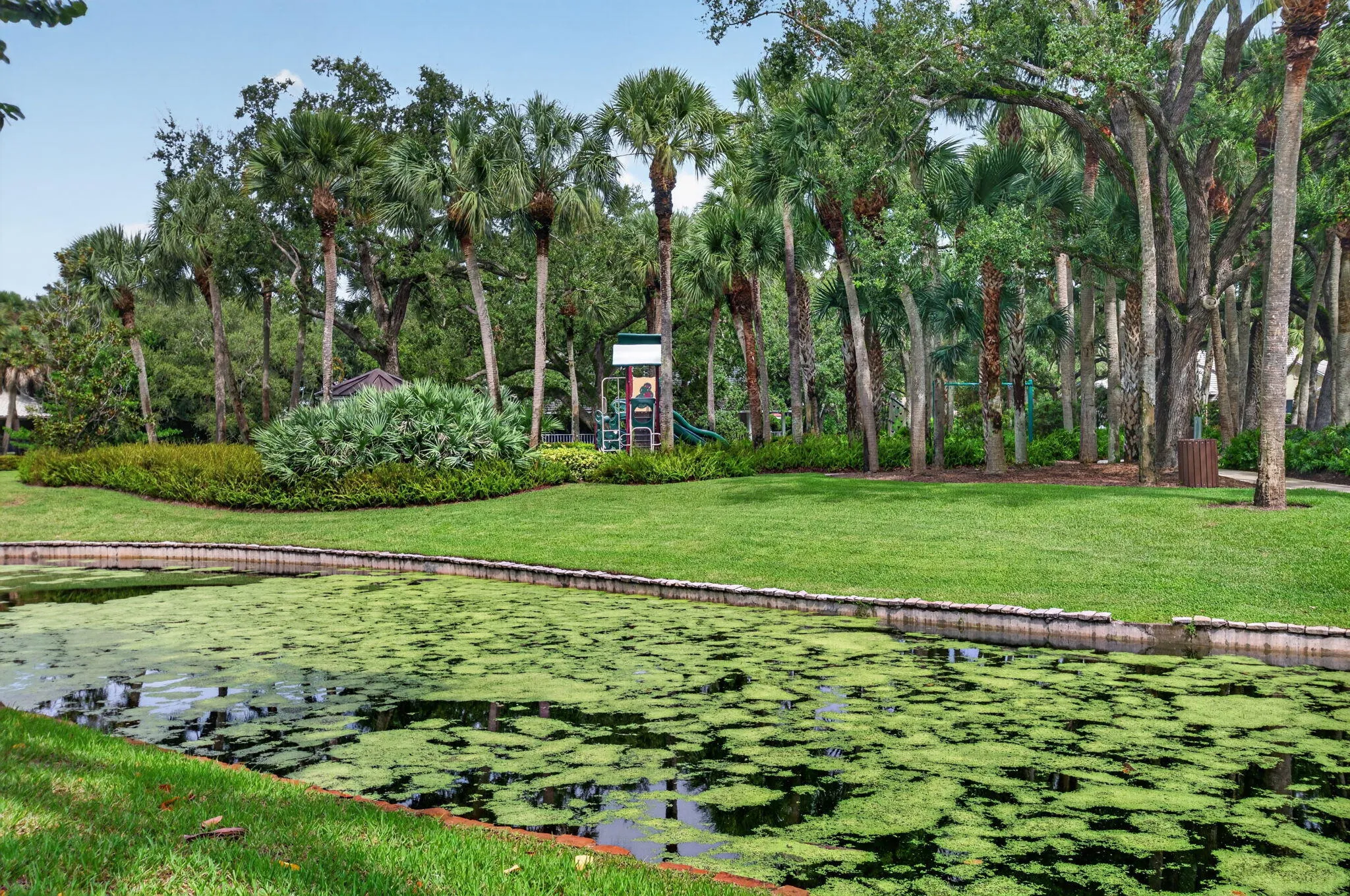 Beautiful lake and park view
