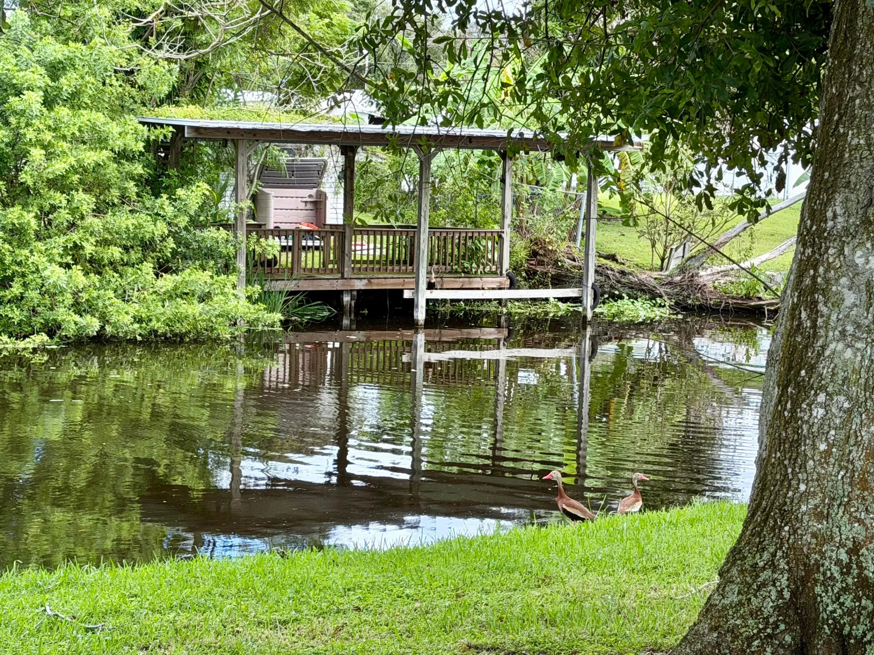 Property photo 18