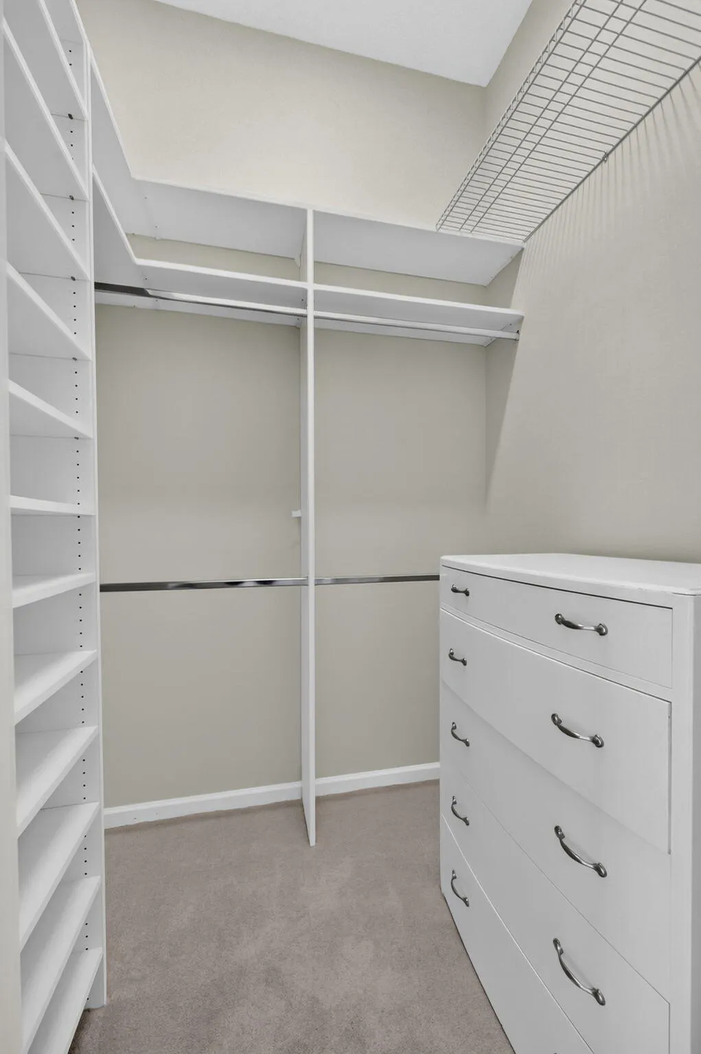 Closet in Primary