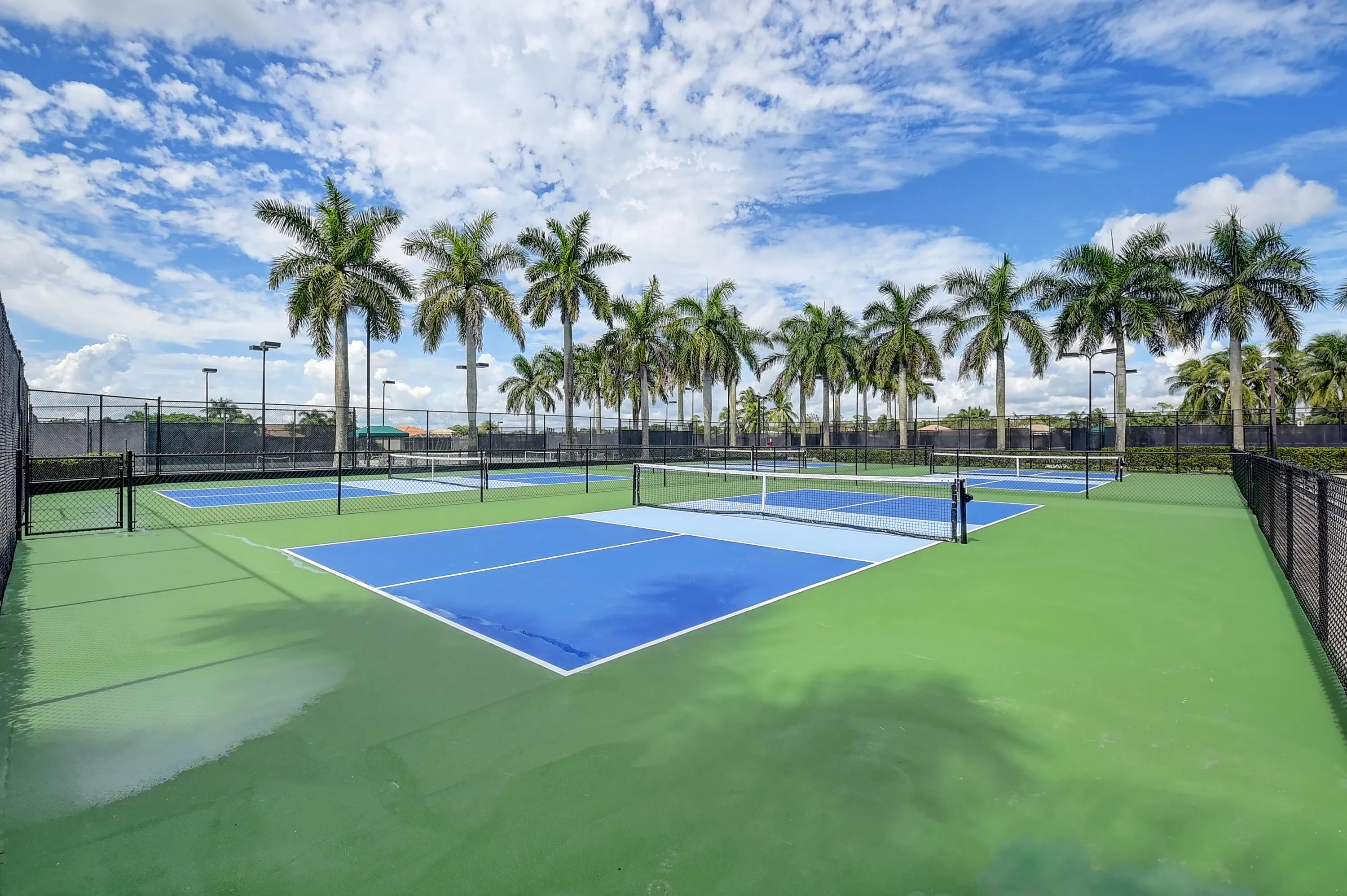 BV - Pickleball