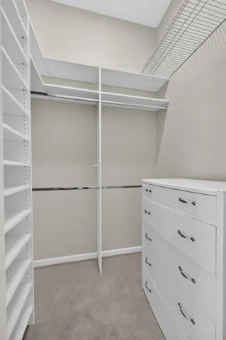 Closet in Primary