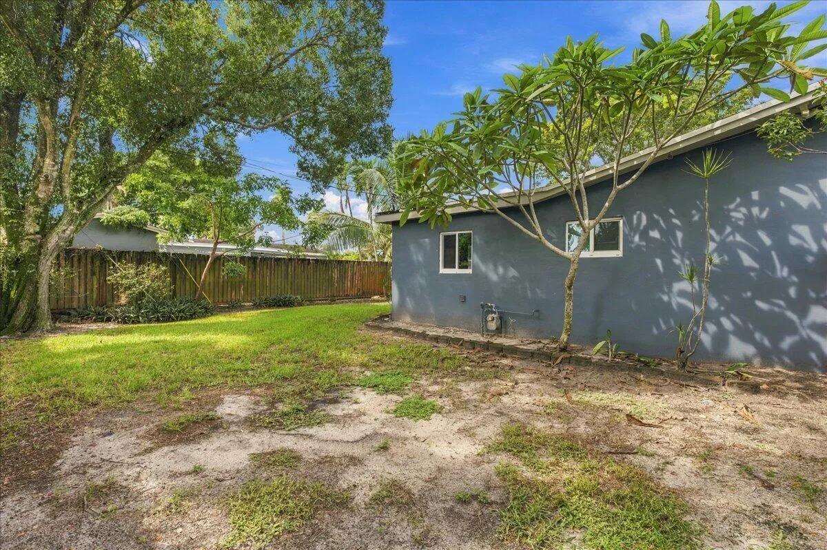Backyard