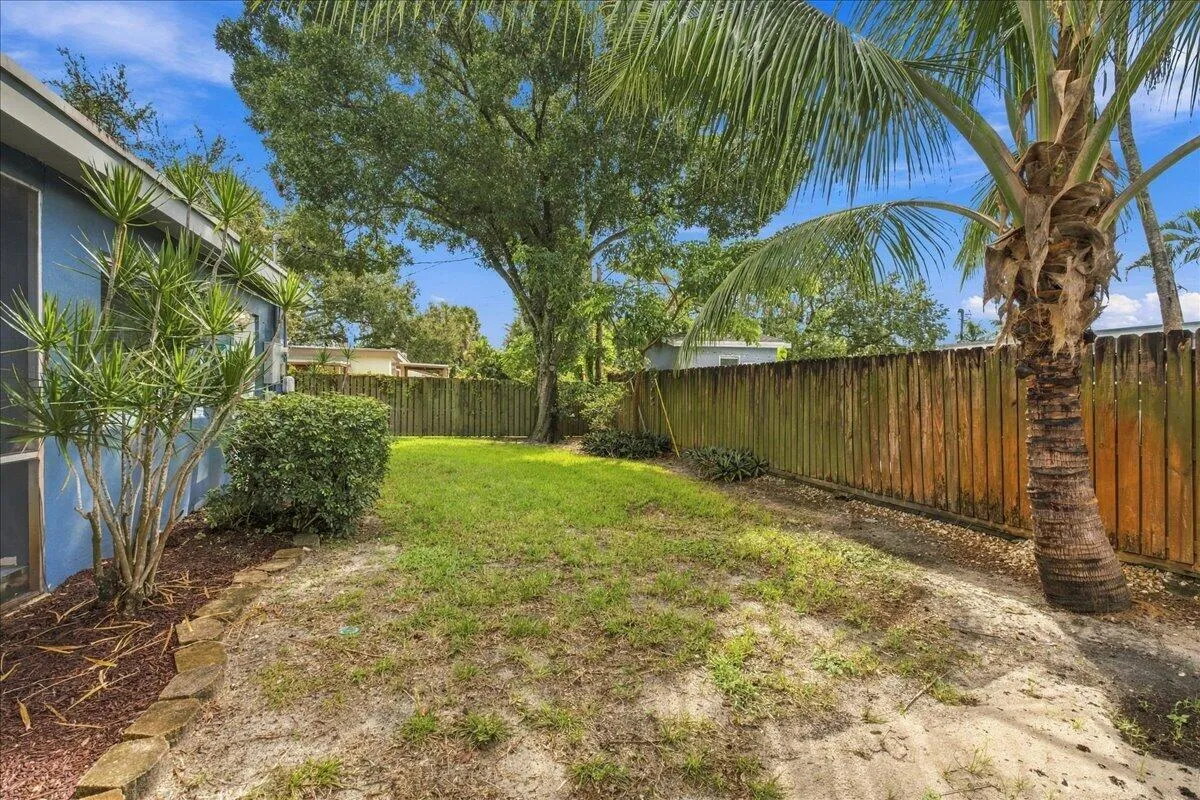 Backyard