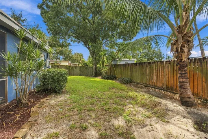 Backyard