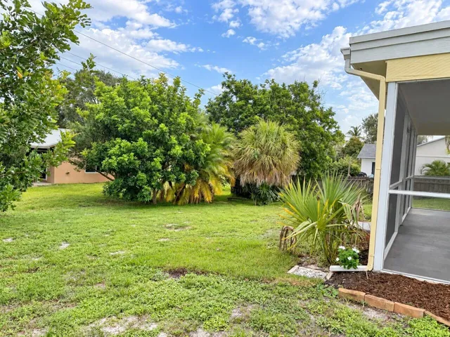 back yard