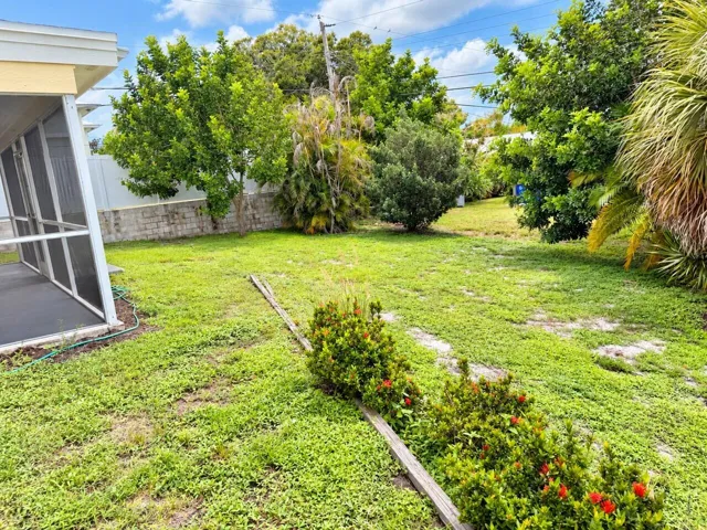 back yard 2