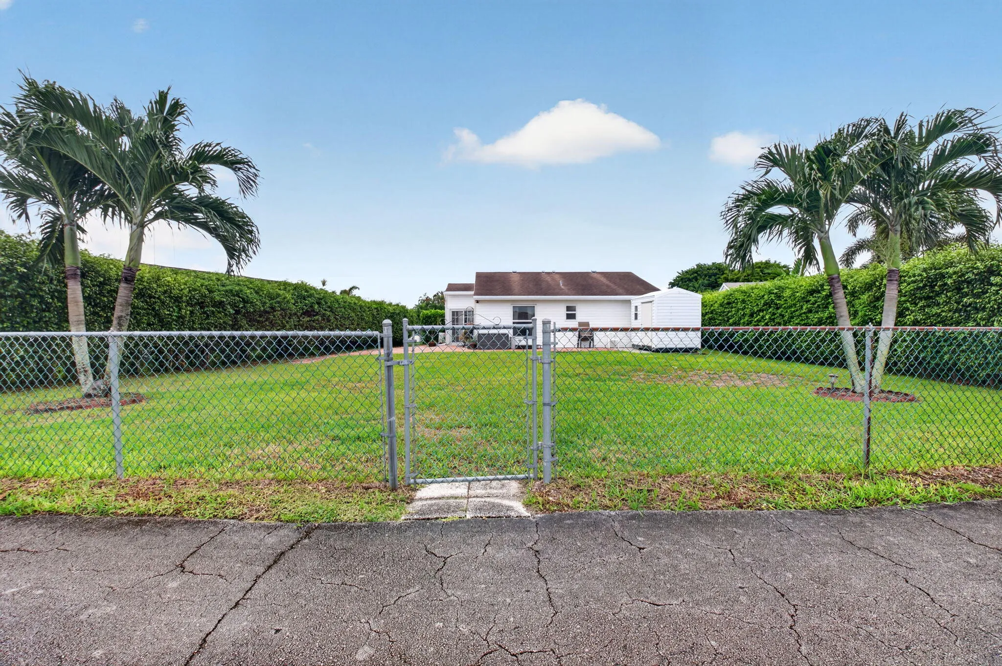 36-web-or-mls-DSC_6888