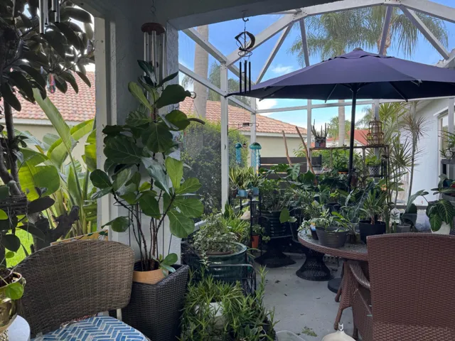 Screened Lanai