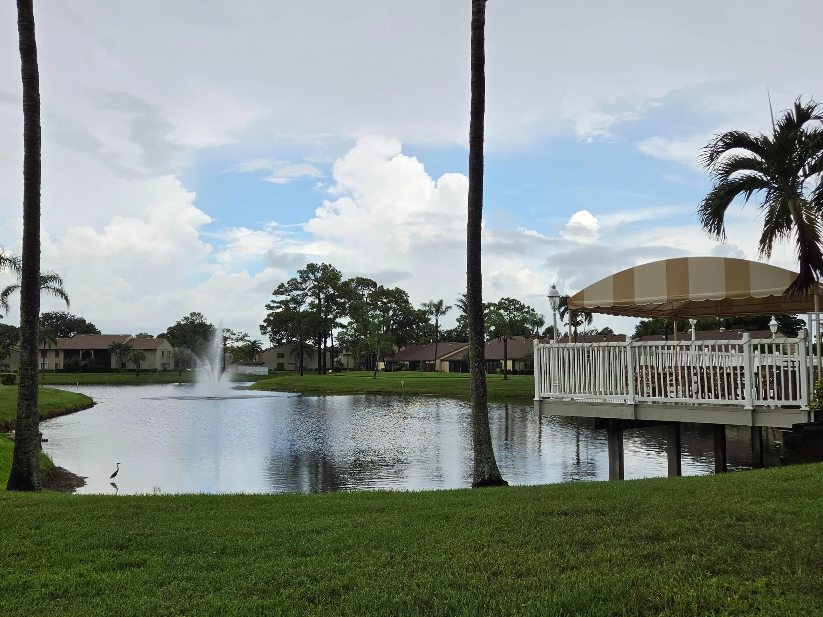 Community Pool and Lake