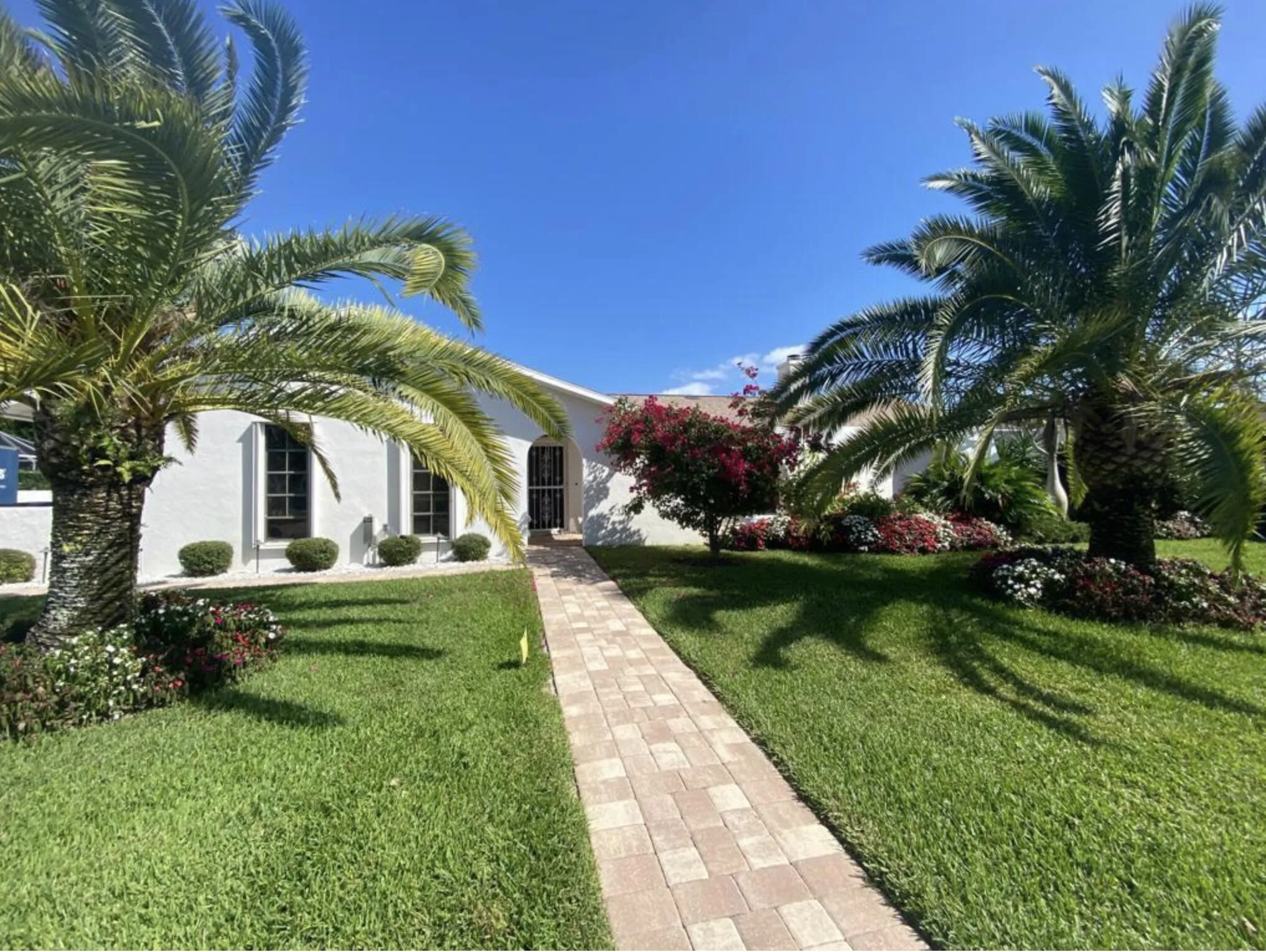 Large Yard