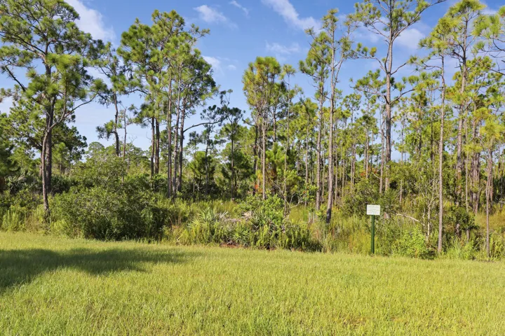 Wooded preserve view, open green space