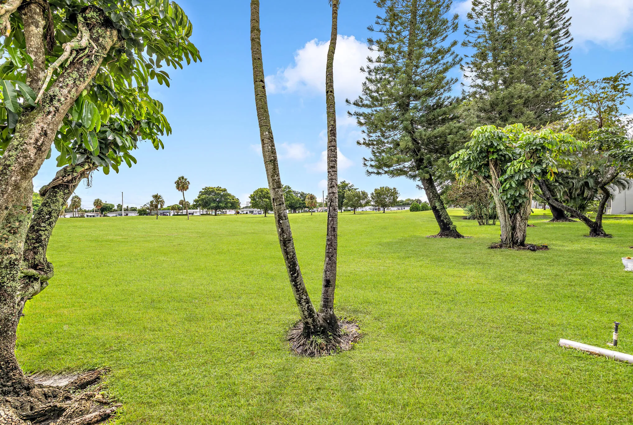 Golf Course