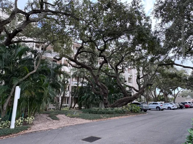 Trees