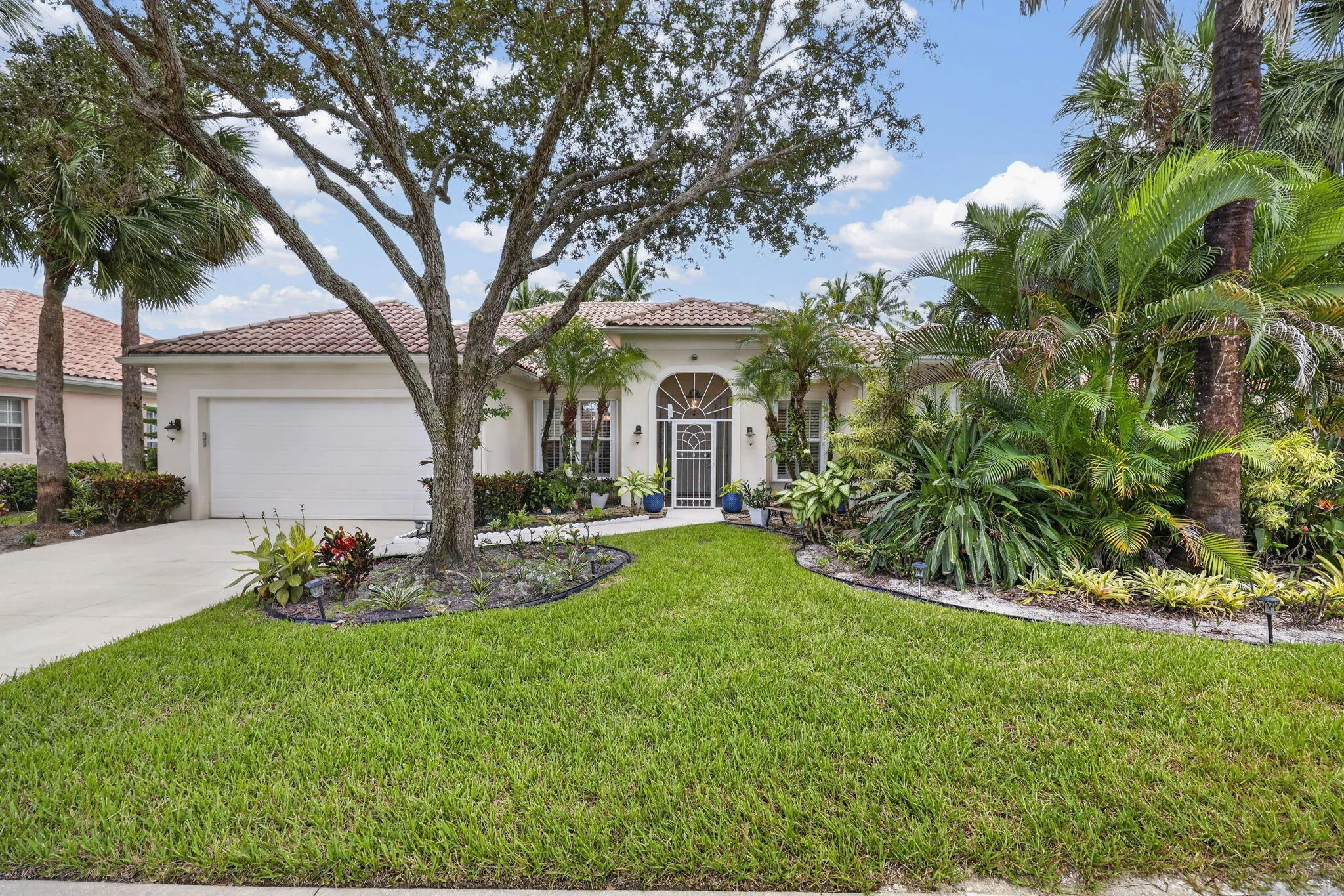 5-web-or-mls-BS1A5946