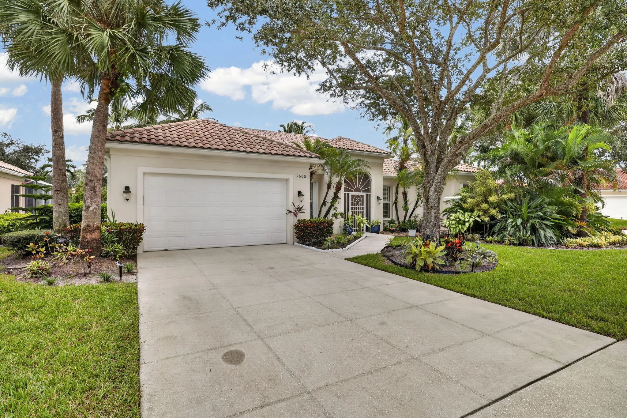 7-web-or-mls-BS1A5961