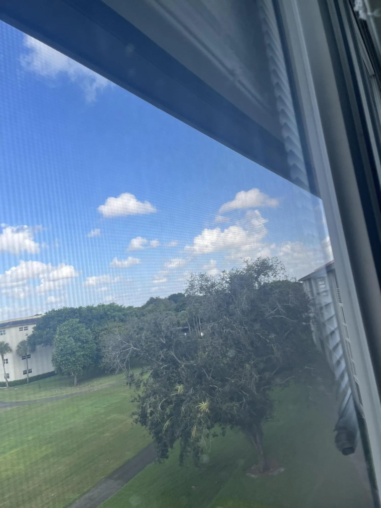 Patio View